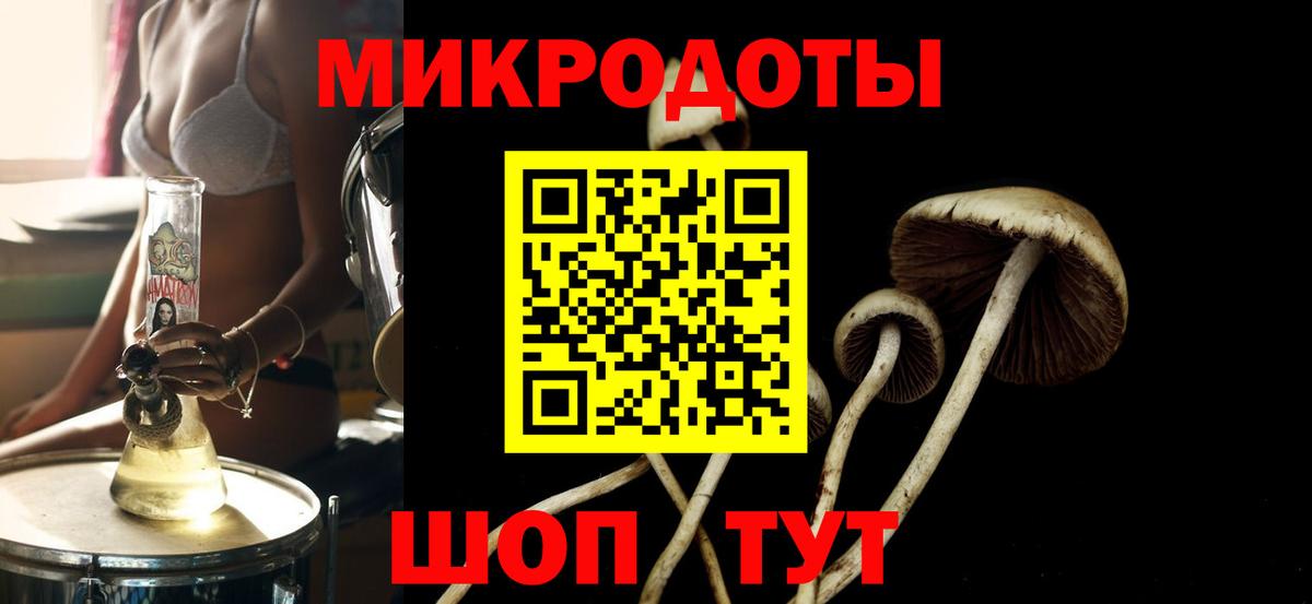 где можно купить   Галлюциногенные грибы прущие грибы  Вход с VPN  Троицк  Псилоцибиновые грибы Psilocybe 